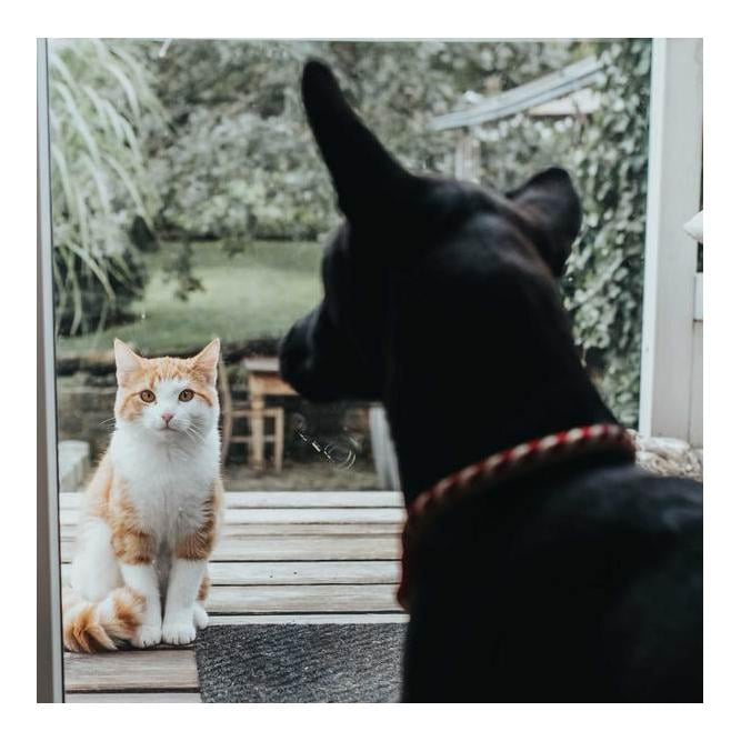 Halsung Tinnum - rot/beige