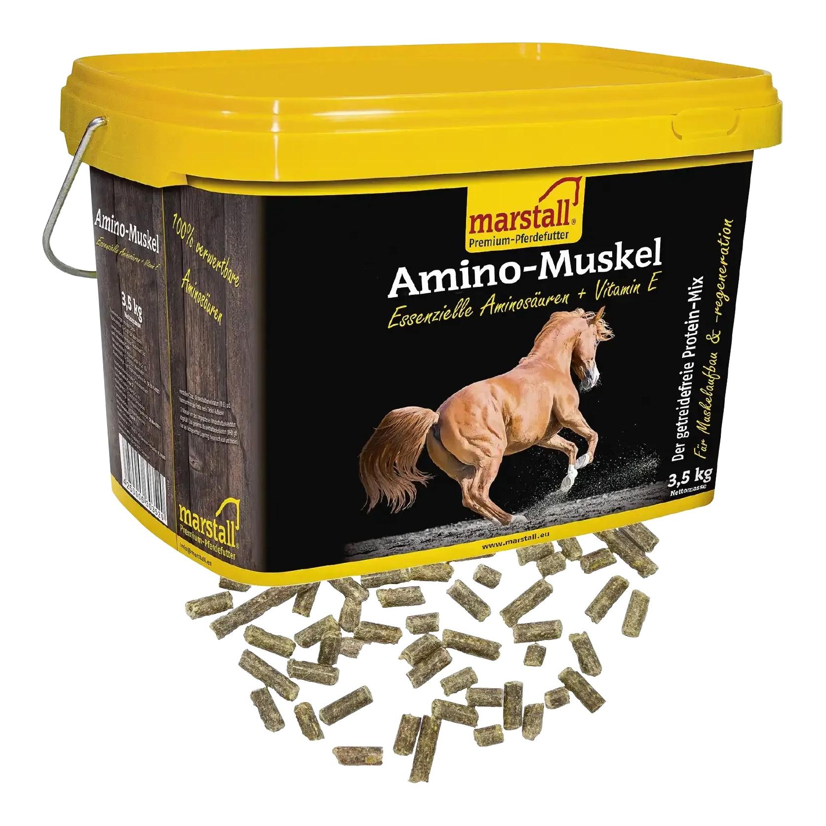 Amino-Muskel Plus
