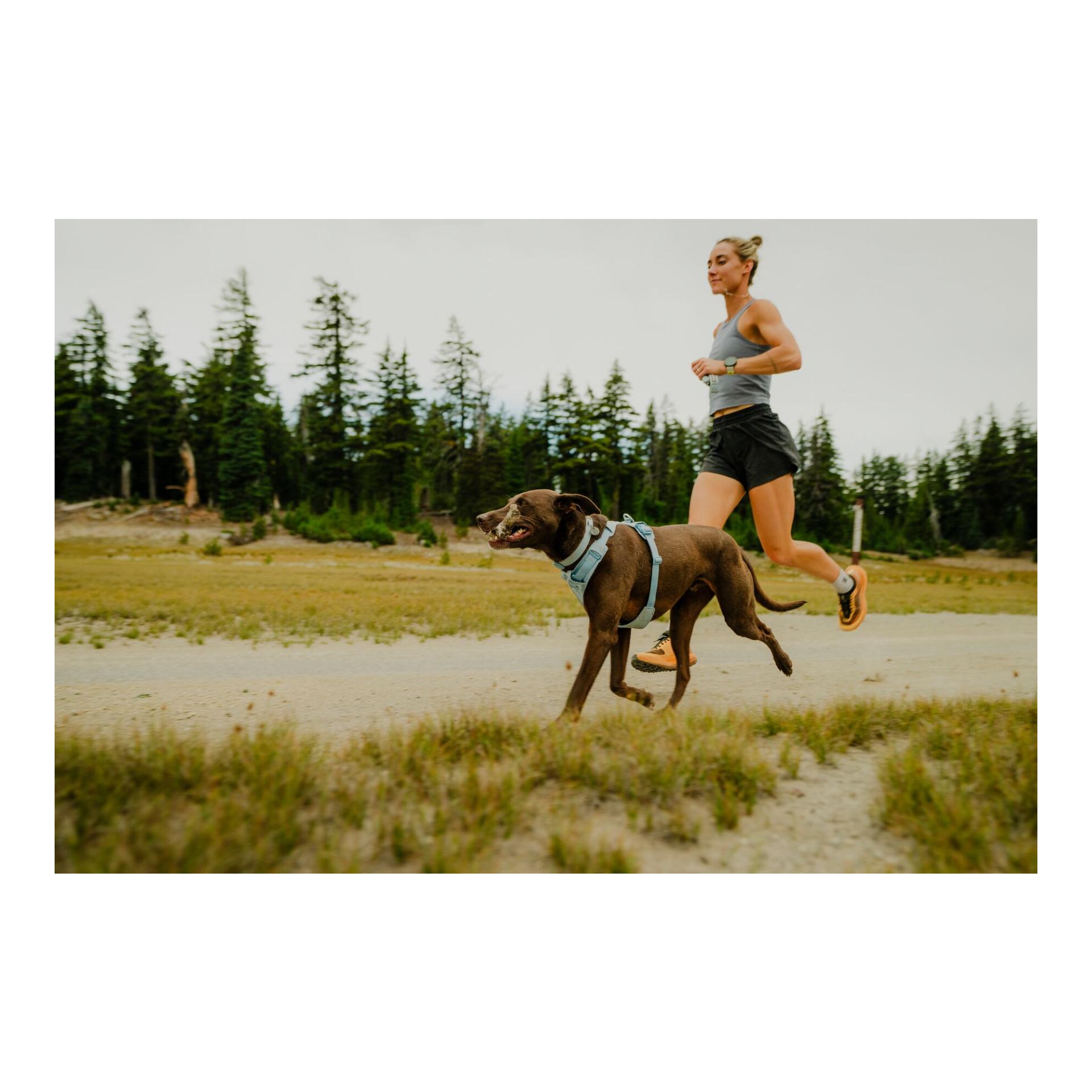 Ruffwear Front Range® Flex Hundegeschirr