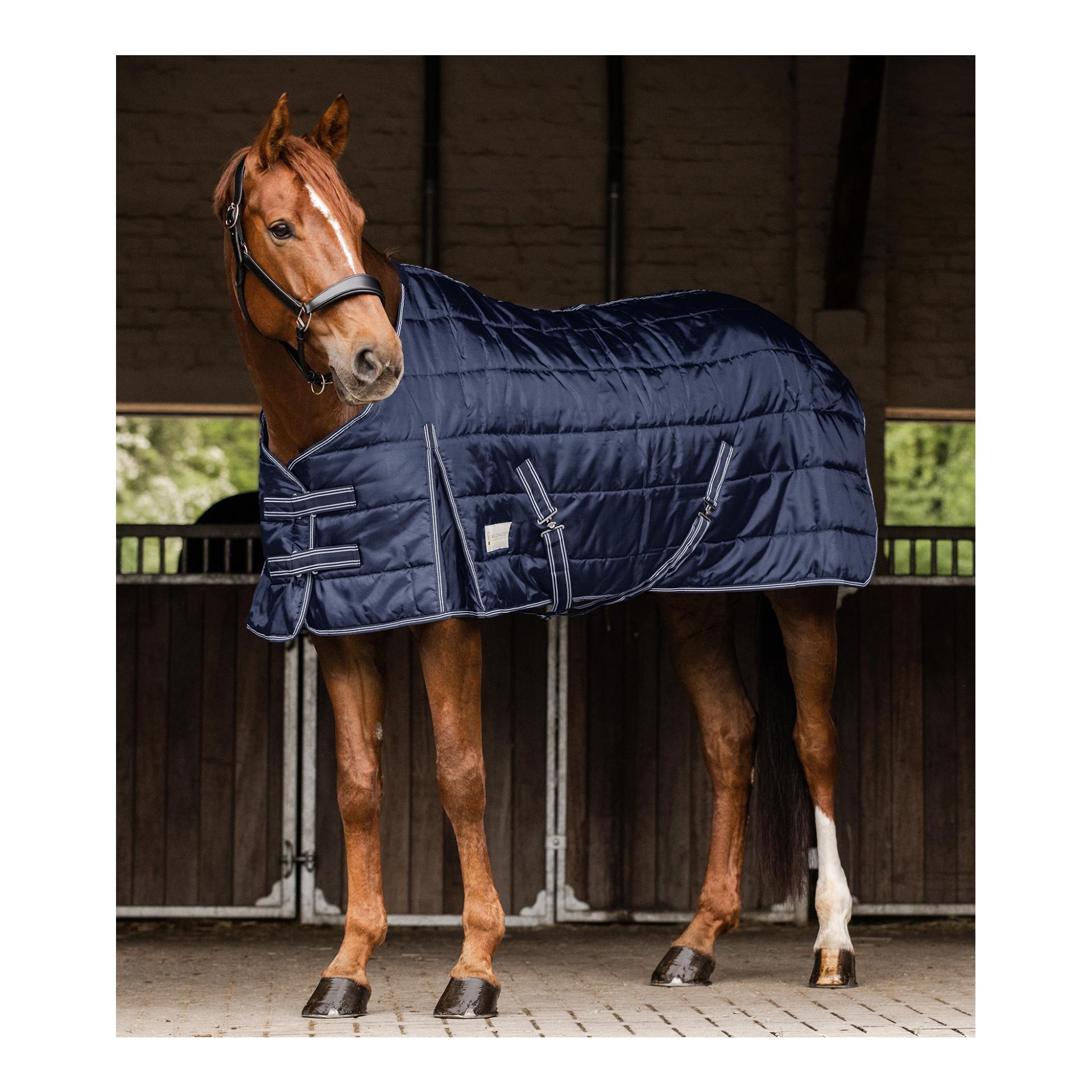 Stalldecke Economic 100 g