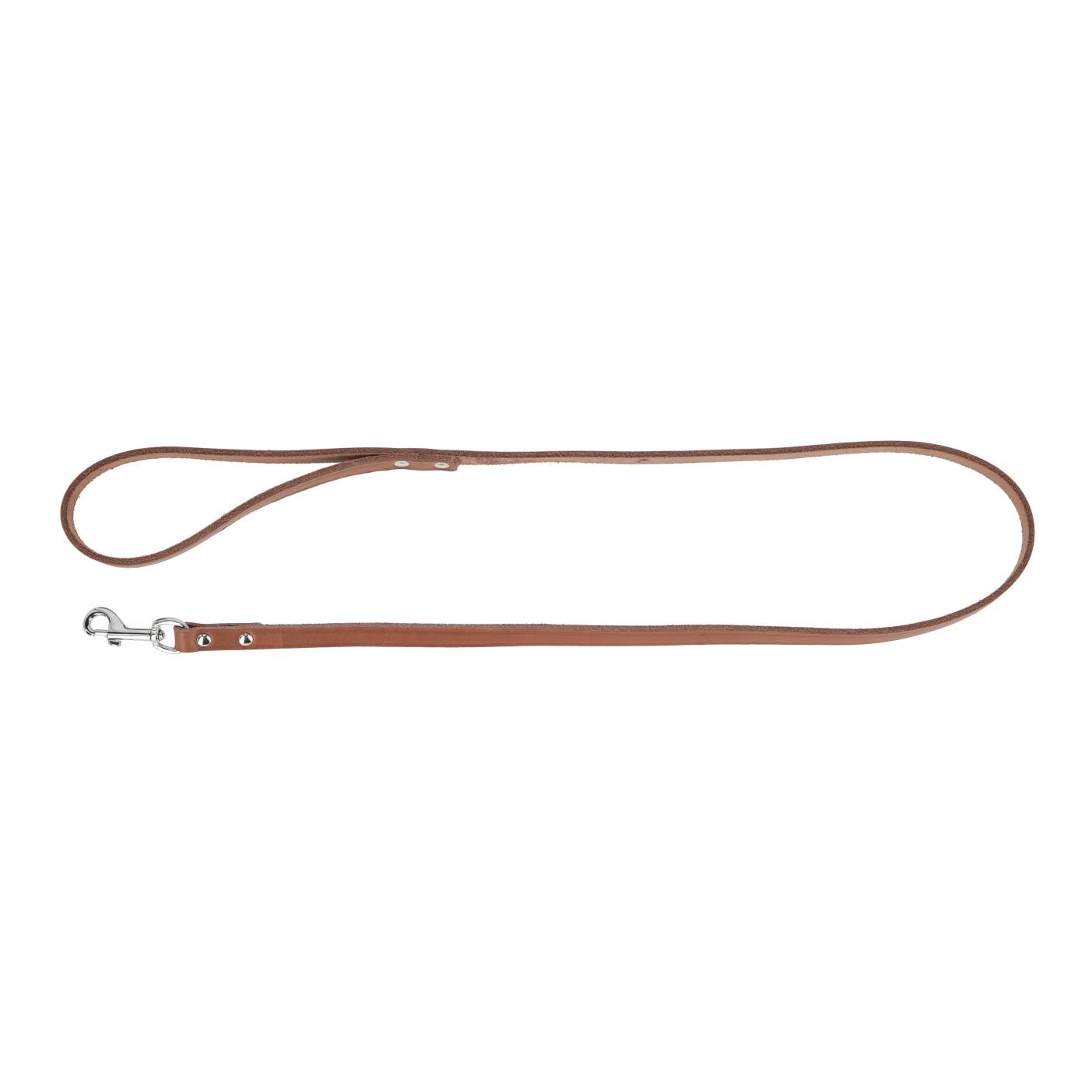 Image of Kerbl Leine Mexica - taupe bei Hauptner.ch