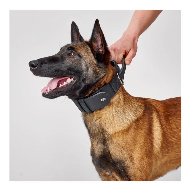 Trainingshalsband mit Griff Larvik - schwarz