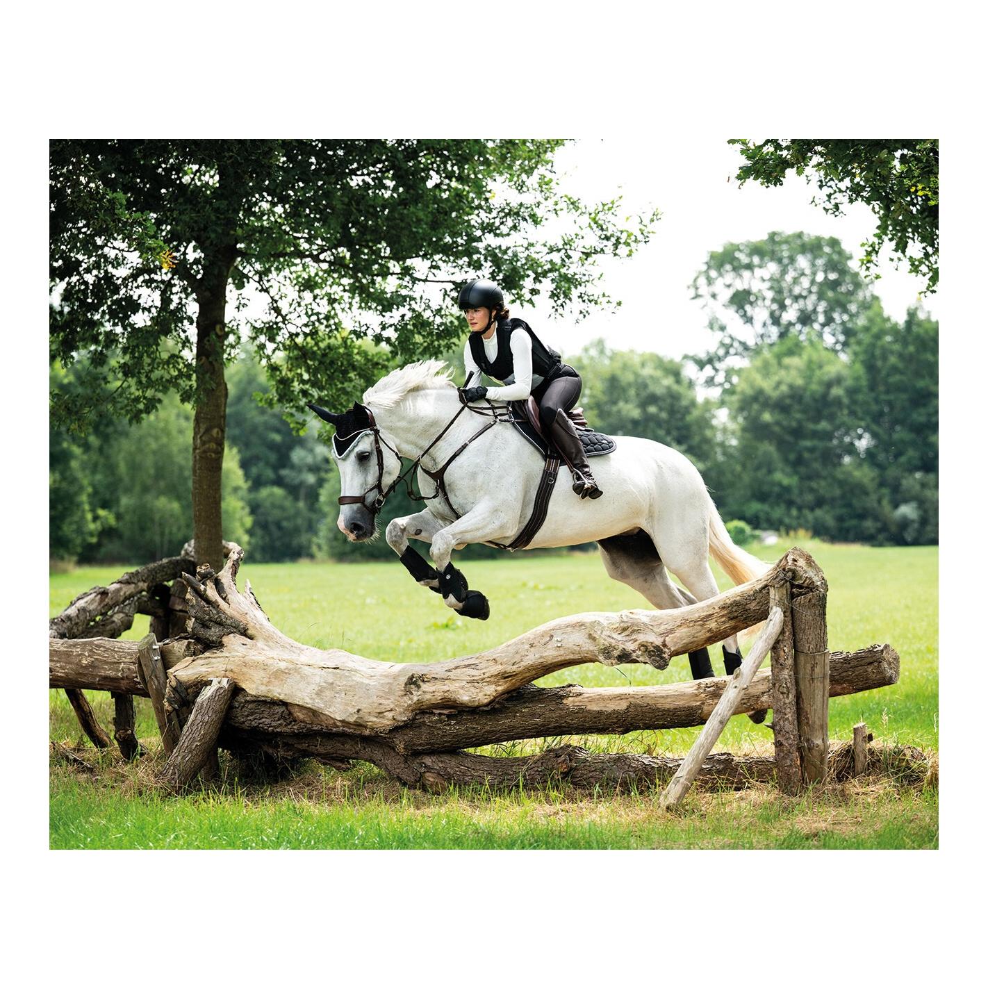 QHP Casque d'équitation Dallas-XC