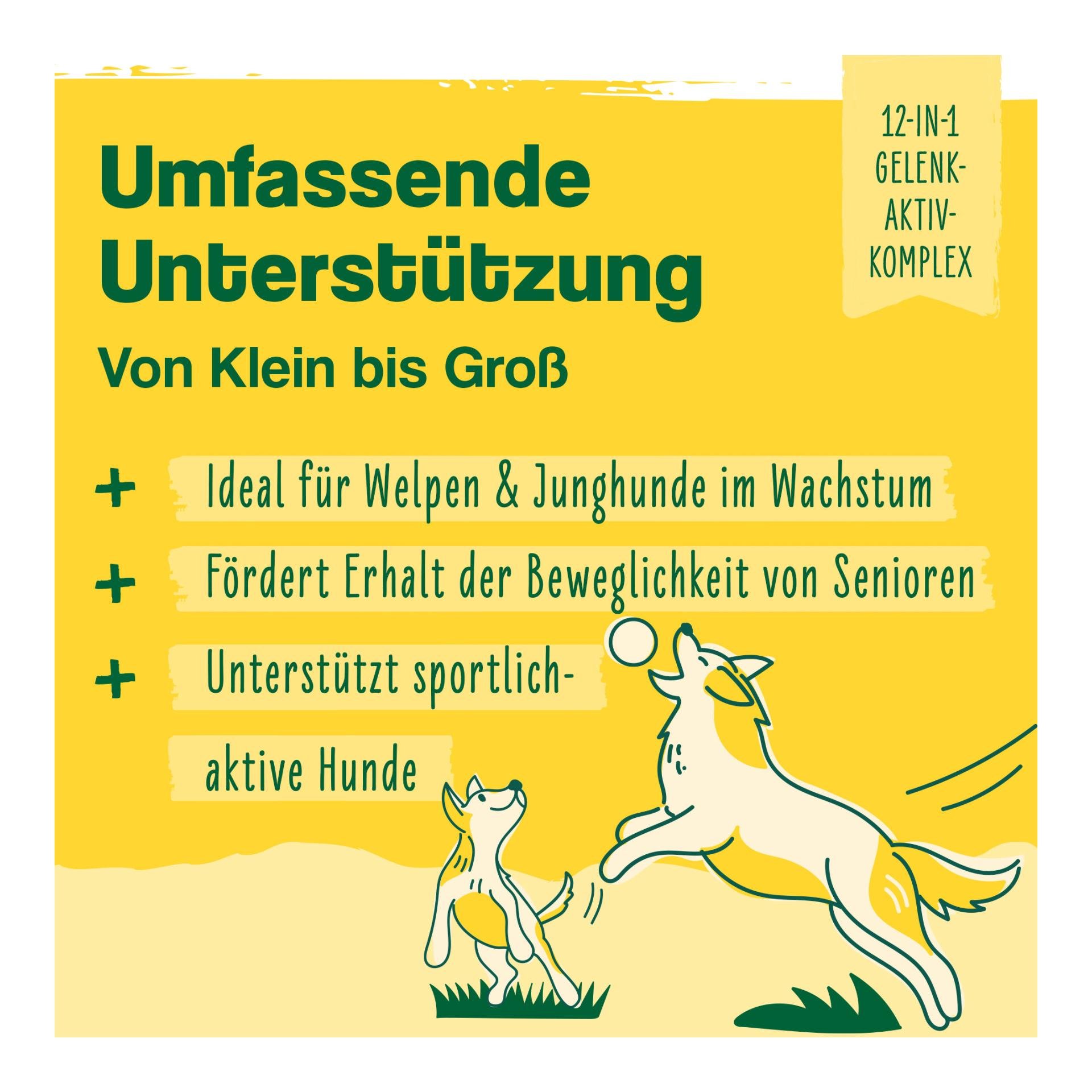 IdaPlus 12-in-1-Move Complex