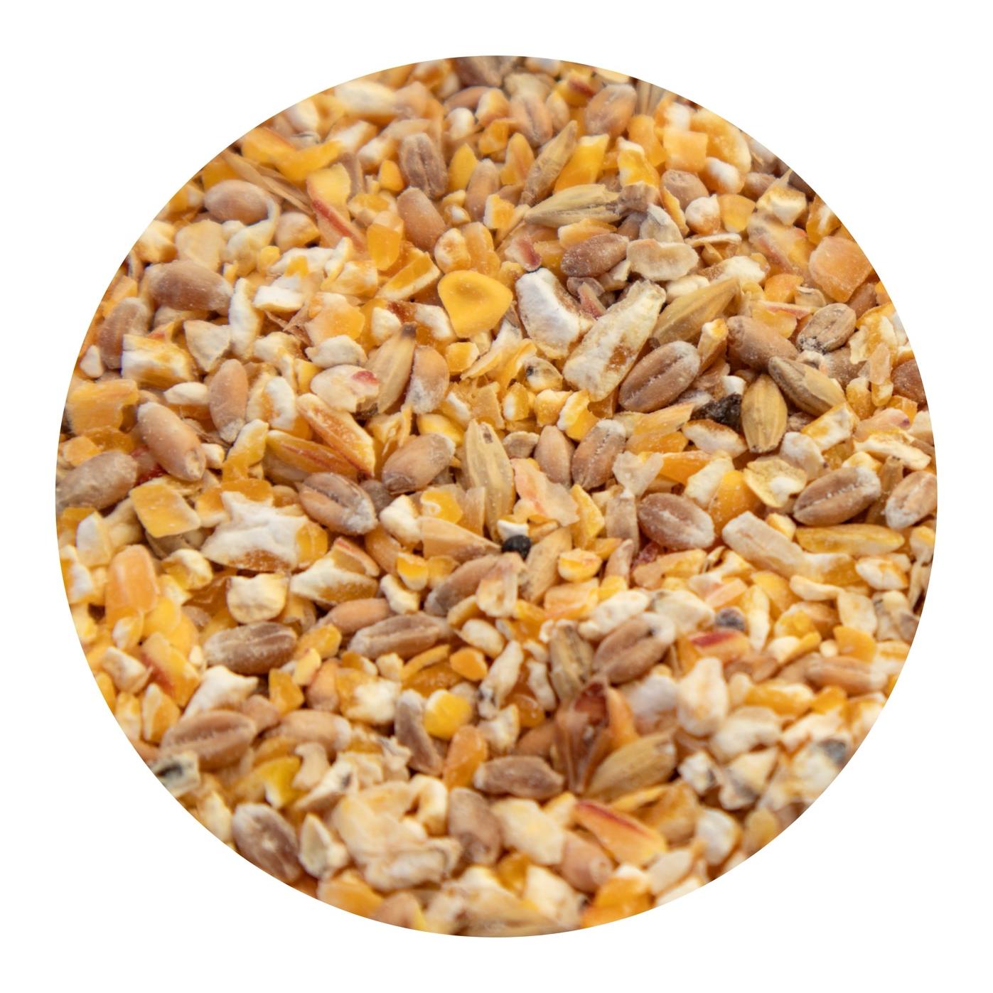 granovit Volaille - Poules pondeuses mélange de graines