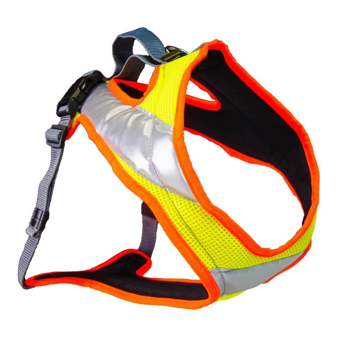 Dog's Fun Run Night Hundegeschirr - gelb/orange