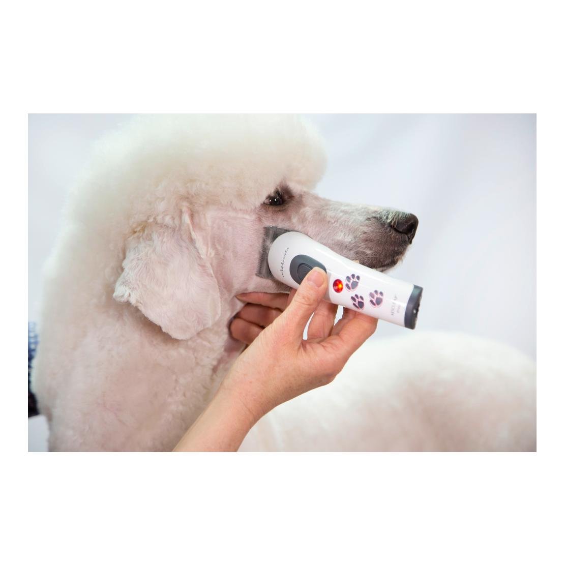 Akkuschermaschine Akkurata