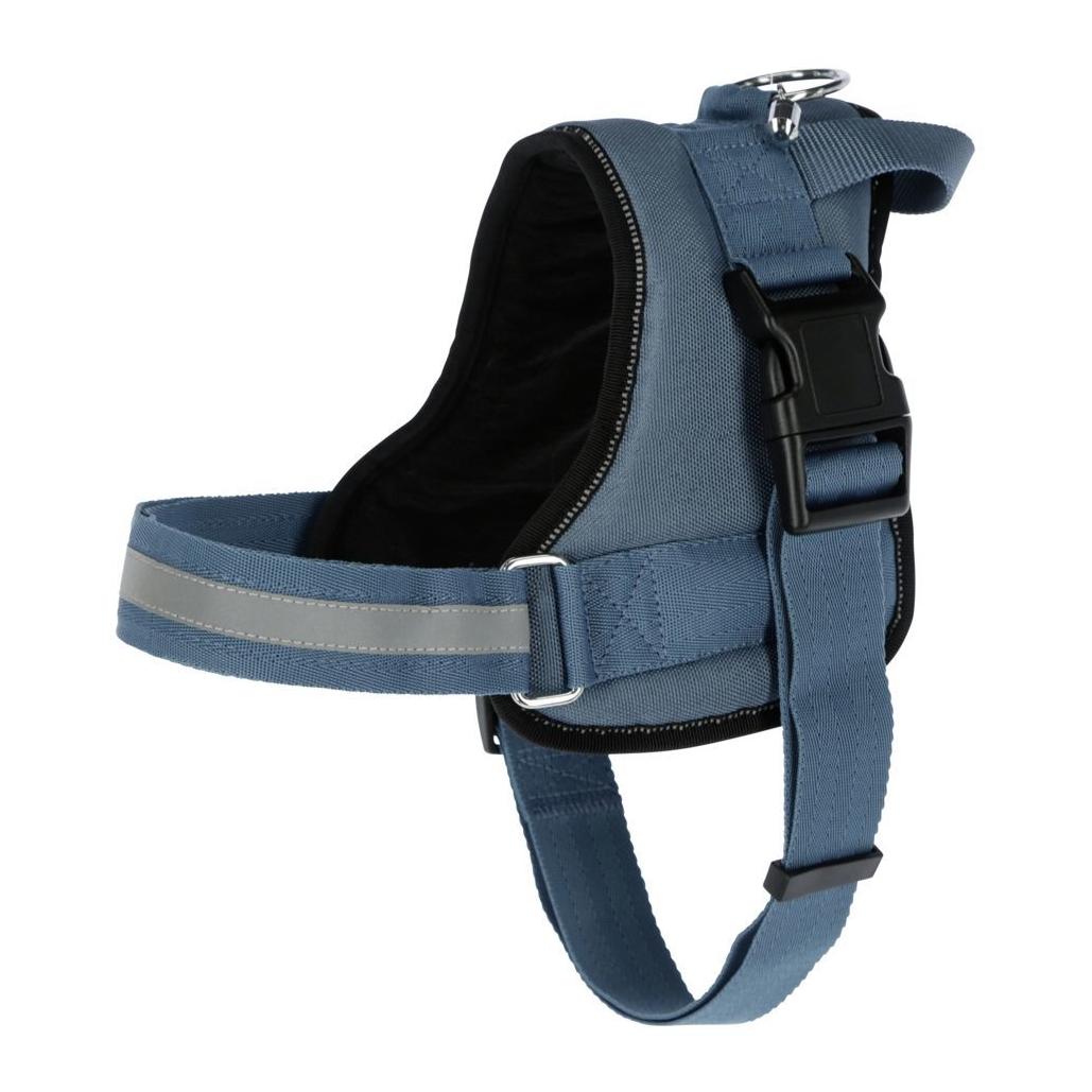 Image of Kerbl Hundegeschirr Maestro 2.0 - petrol bei Hauptner.ch