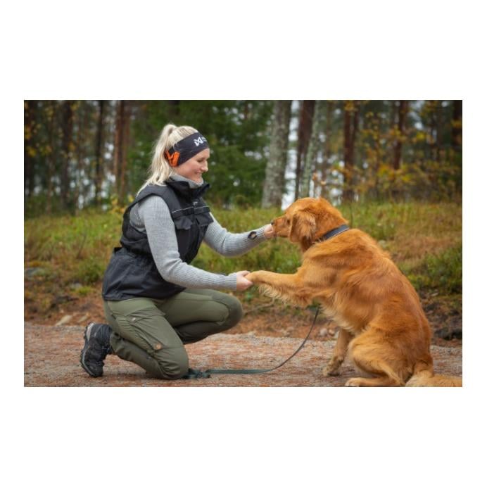 Dog Training Vest