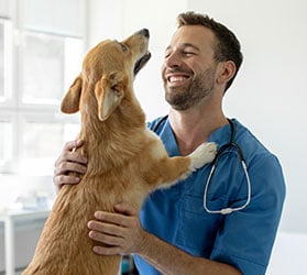 Hauptner-VET-KAT-Chirurgie