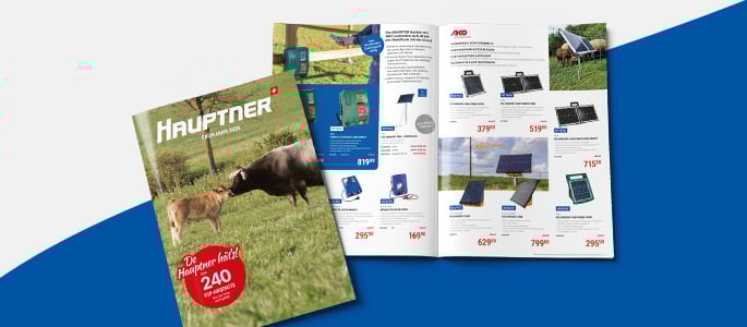 Katalog-HP-SHOP-685x300-desktop-startpage-DE_(2)