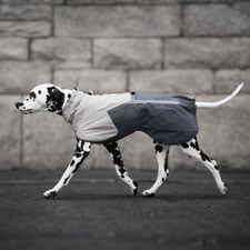 HP-Hund-Bekleidung-225x225