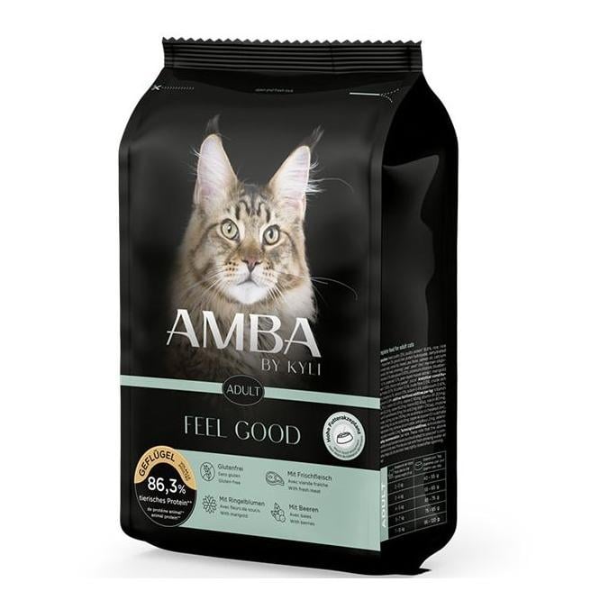 AMBA by kyli Feel Good