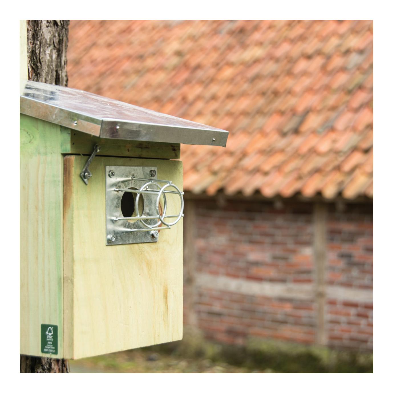 Eichhörnchen/Marder Schutz