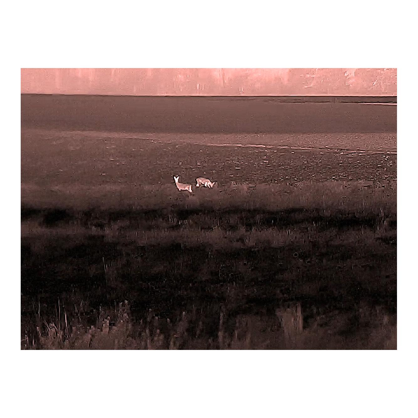 Imageur thermique WILD 635L