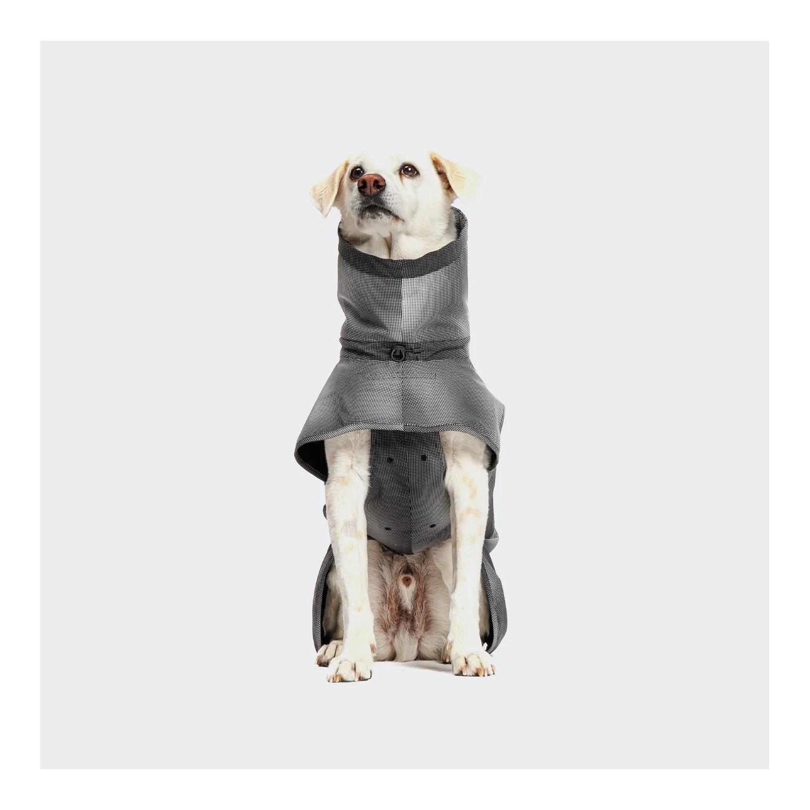 Hunderegenmantel Aktiv