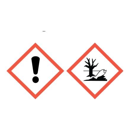 Comprimés de purification de l’eau