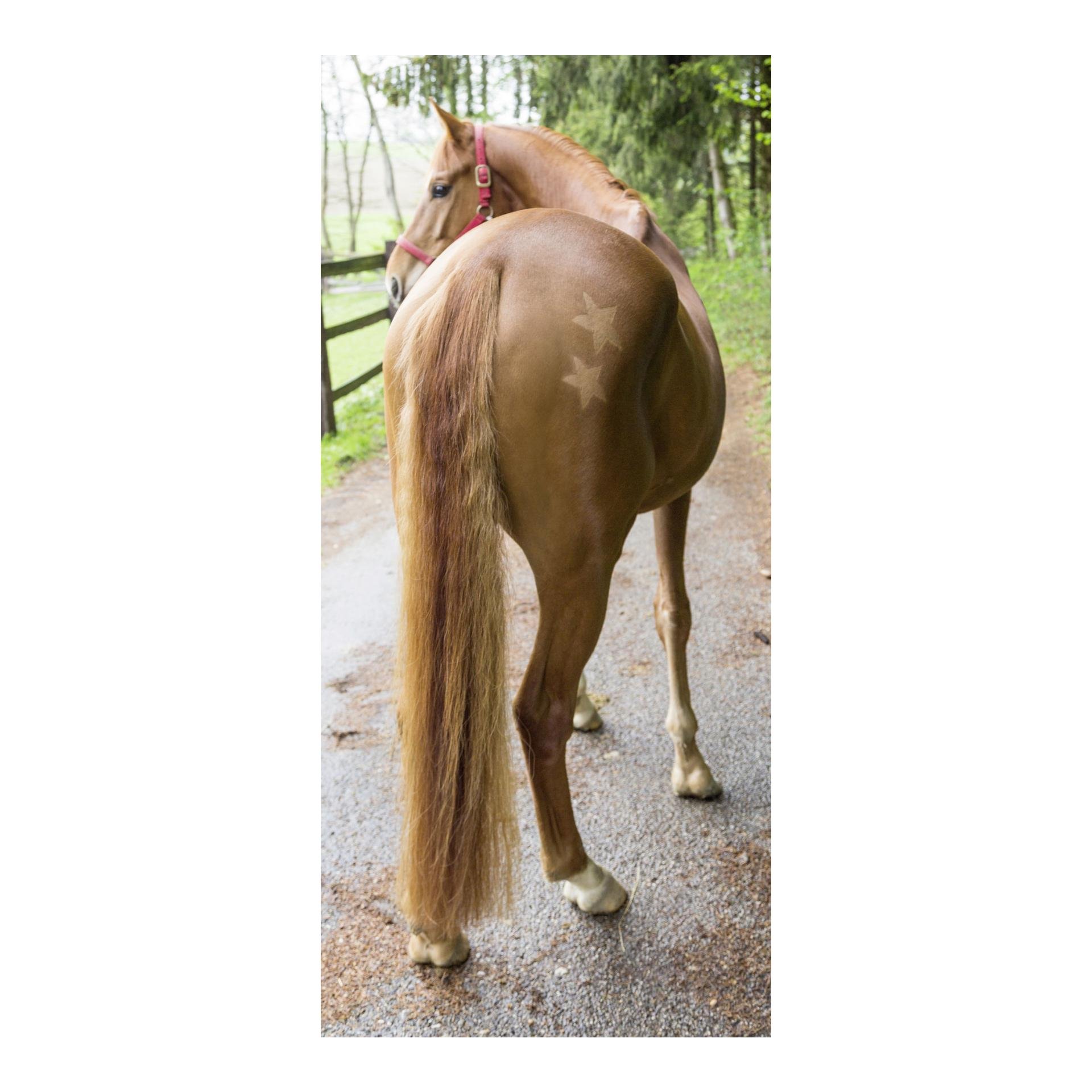 Scherschablone 3-er Set