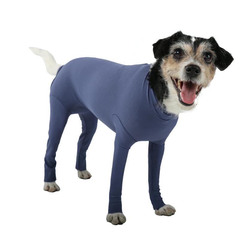 Image of Vetmedcare Body Dog Hündin mit Beinen - blau bei Hauptner.ch