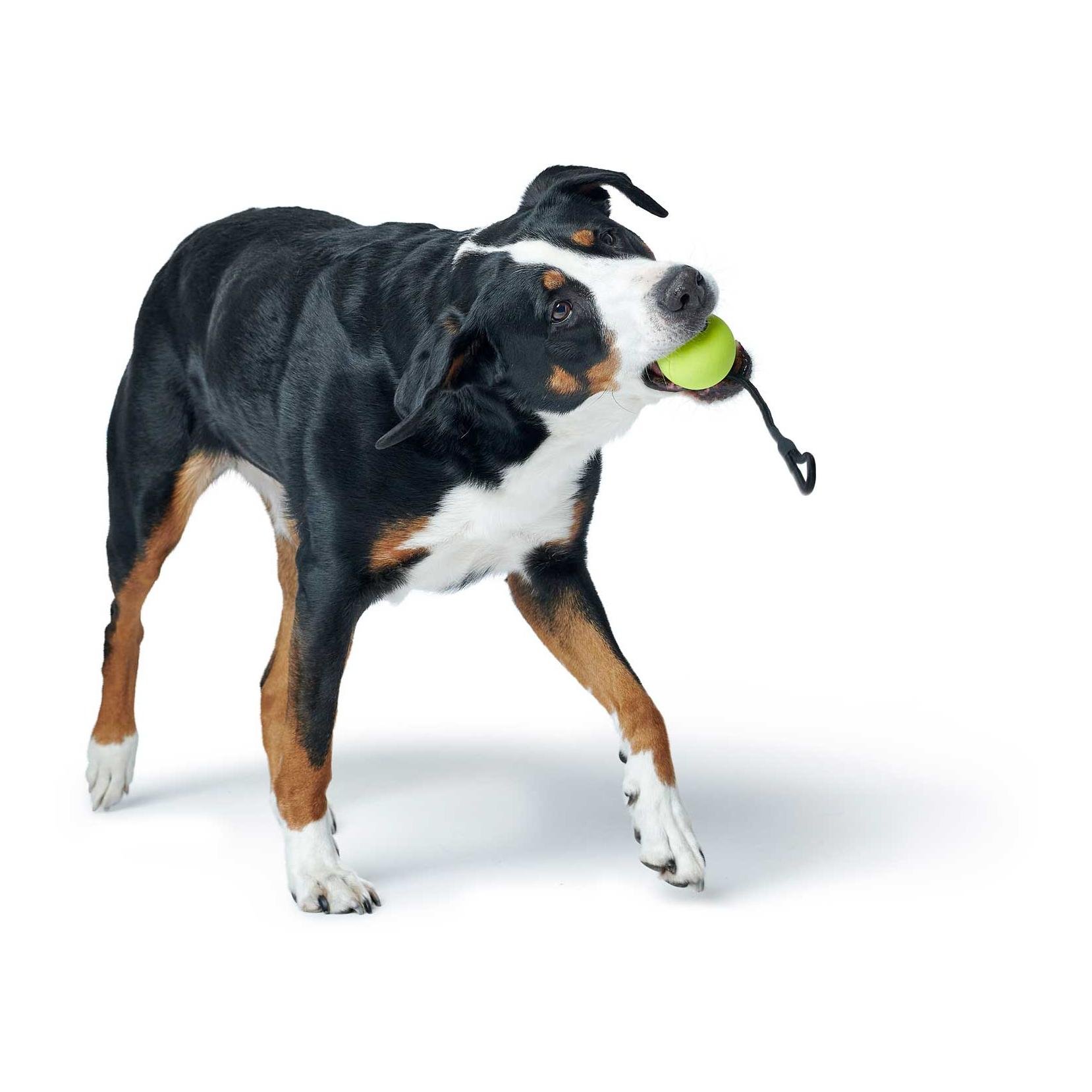 Hundespielzeug Jamuna - Gummi