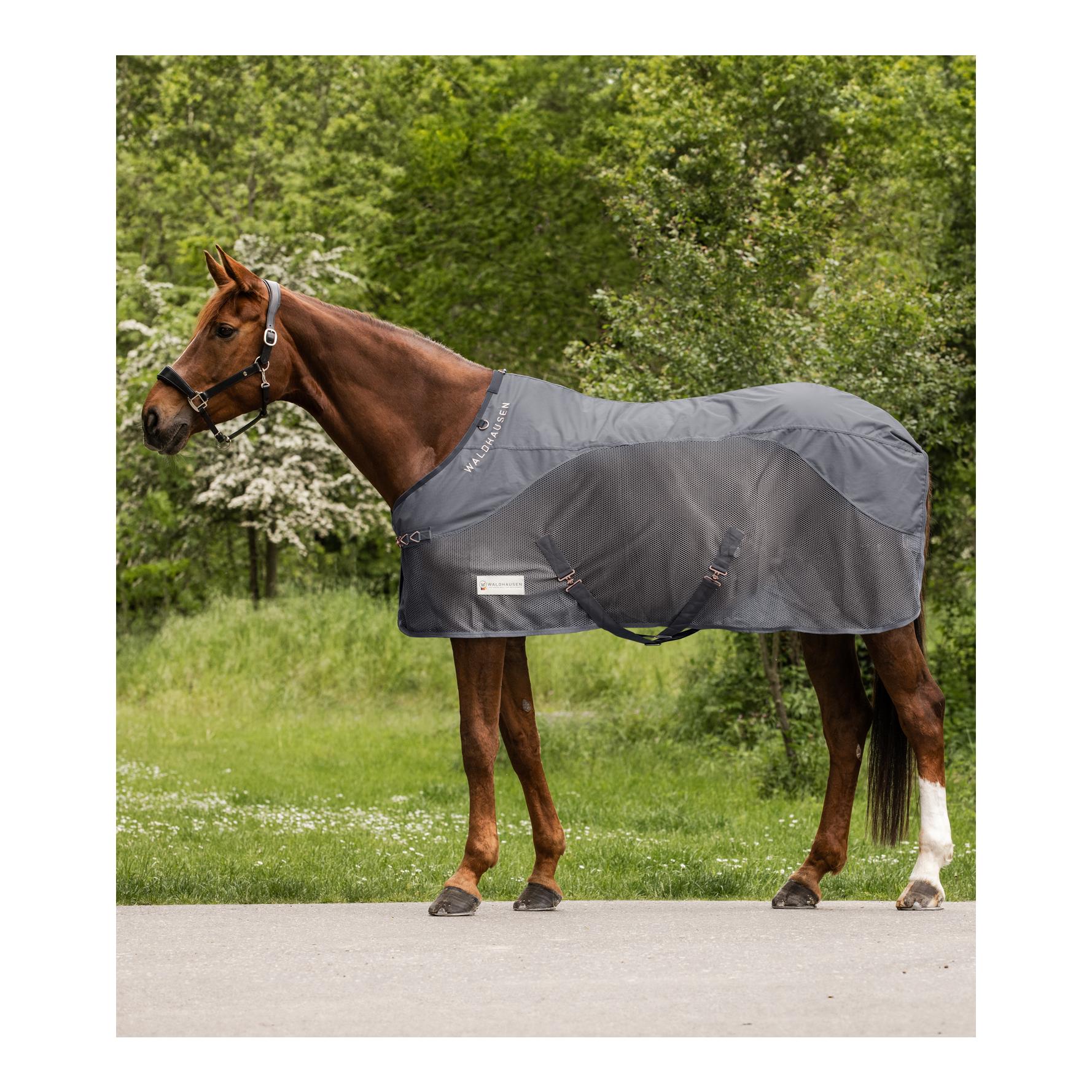 Regen-Fliegendecke Comfort