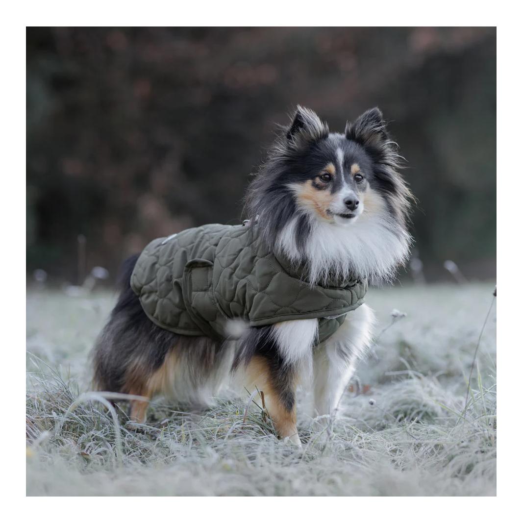 Veste matelassée pour chiens