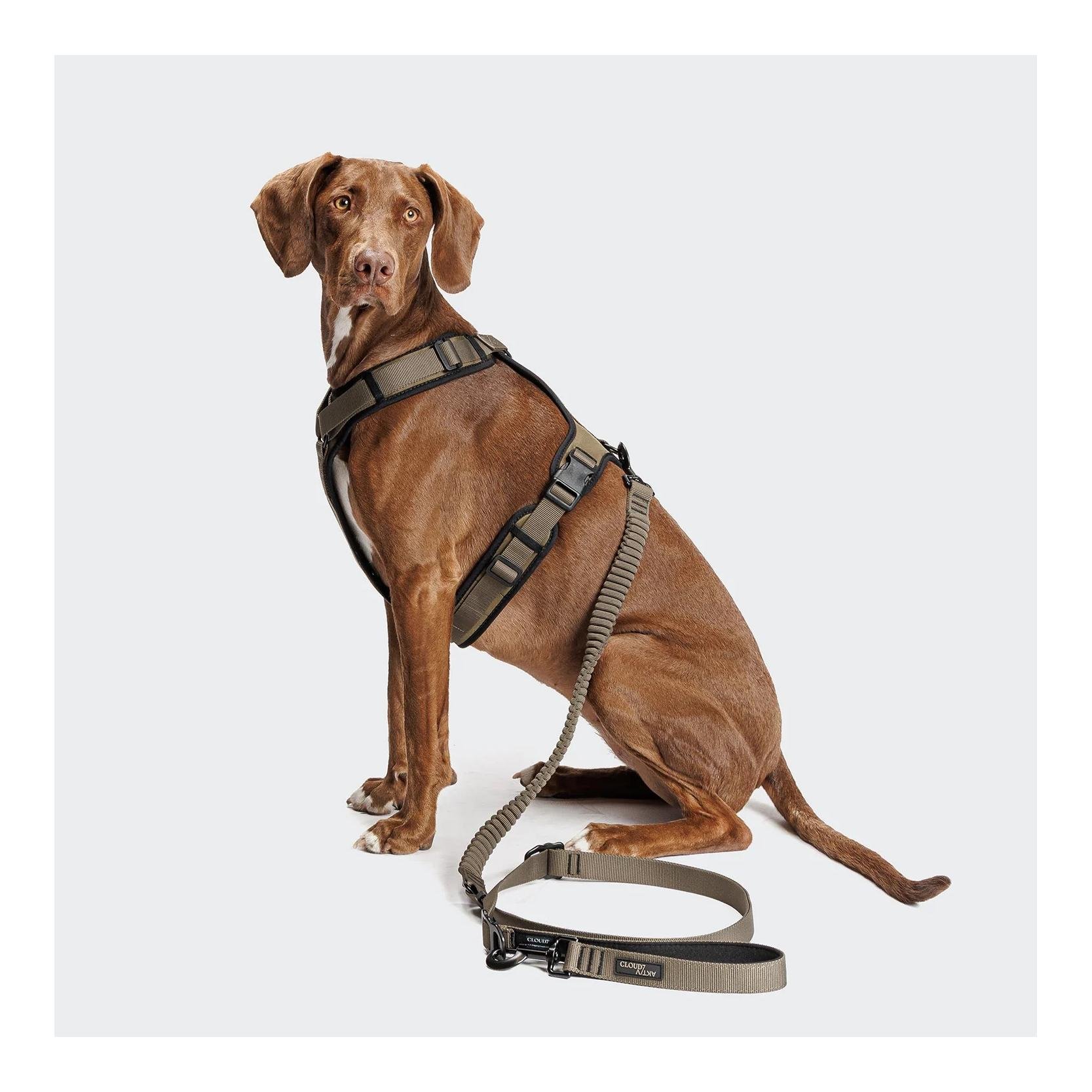 L-2 Laisse de jogging pour chien