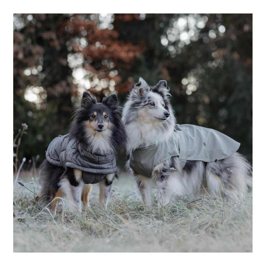Stilvoller Hunderegenmantel