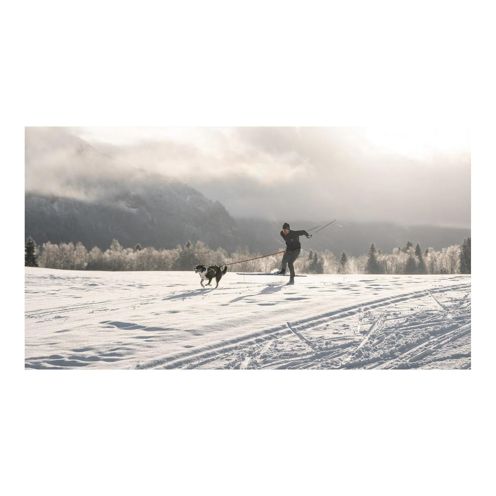 Løype Belt Pro - Ergonomischer Hundegurt für Skijöring