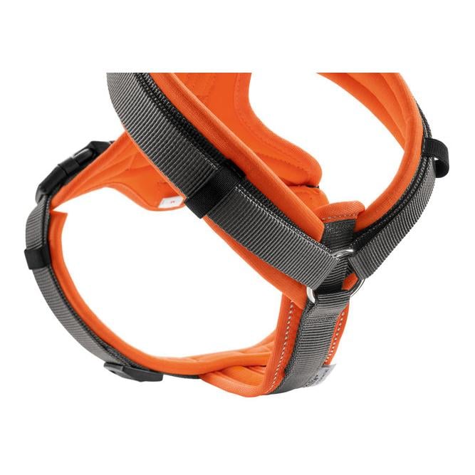 Geschirr Maldon - orange/grau