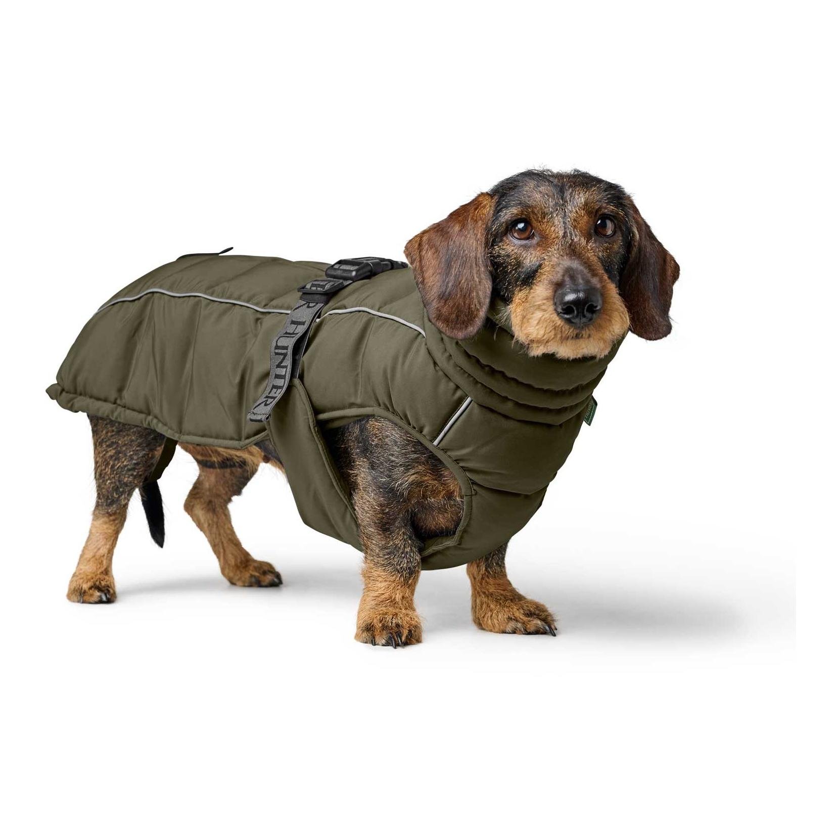 Hundemantel Paxson Dachshund