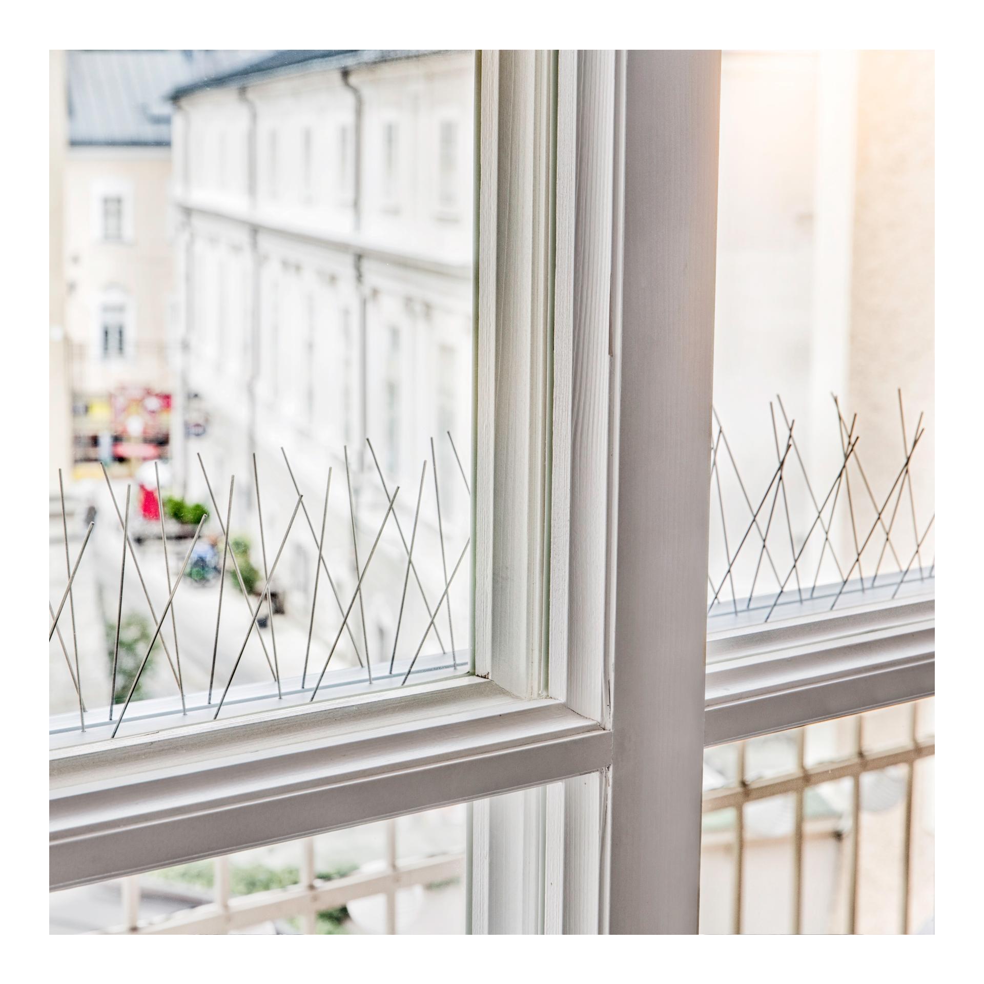 Système ALU-PROFI pour repousser les pigeons