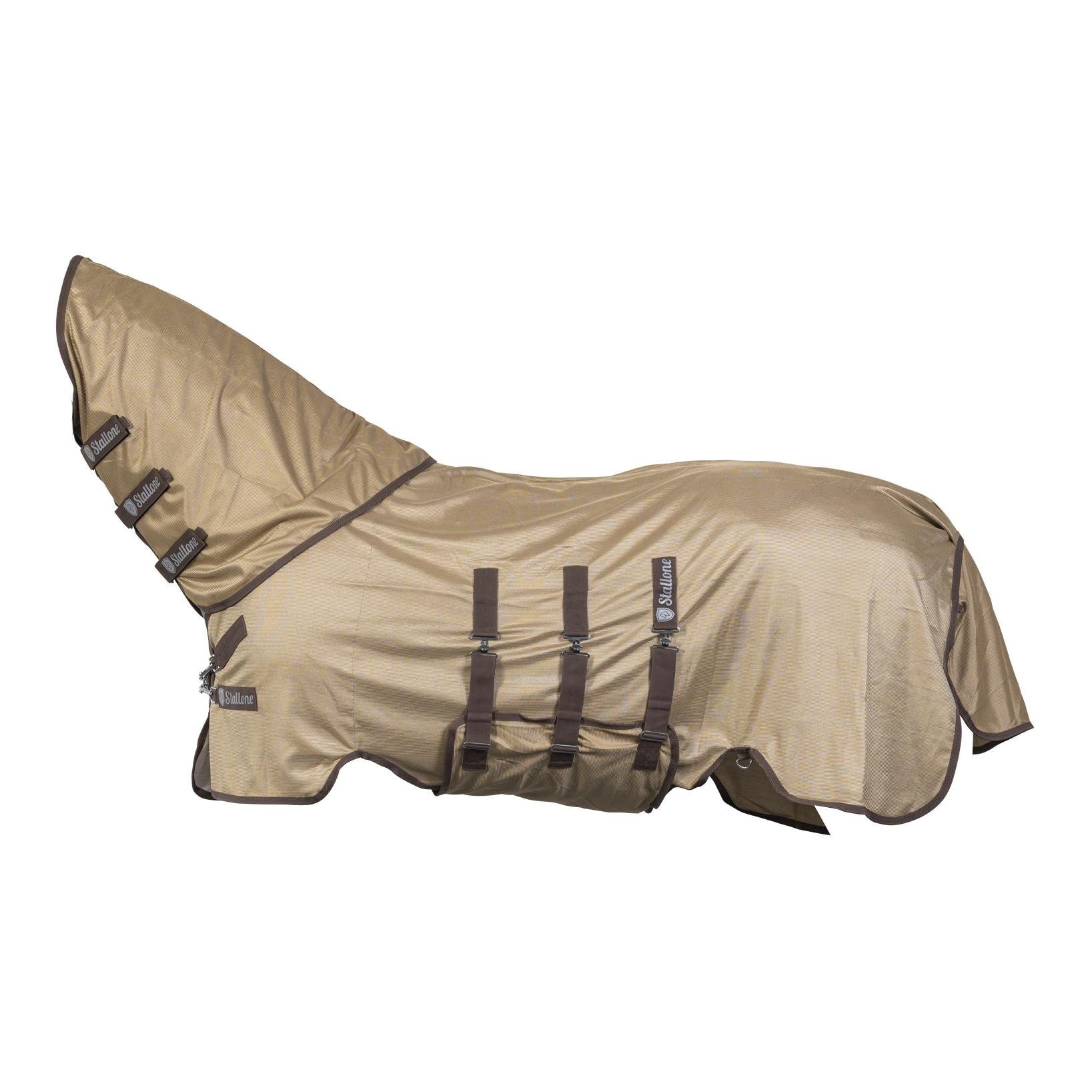 Halsteil Summer Guard