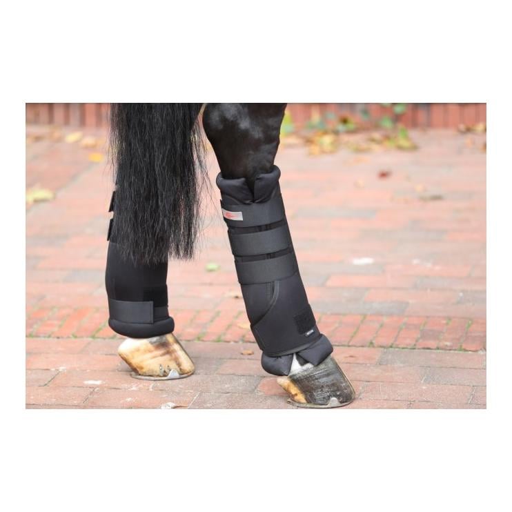 Guêtres d'écurie et de transport