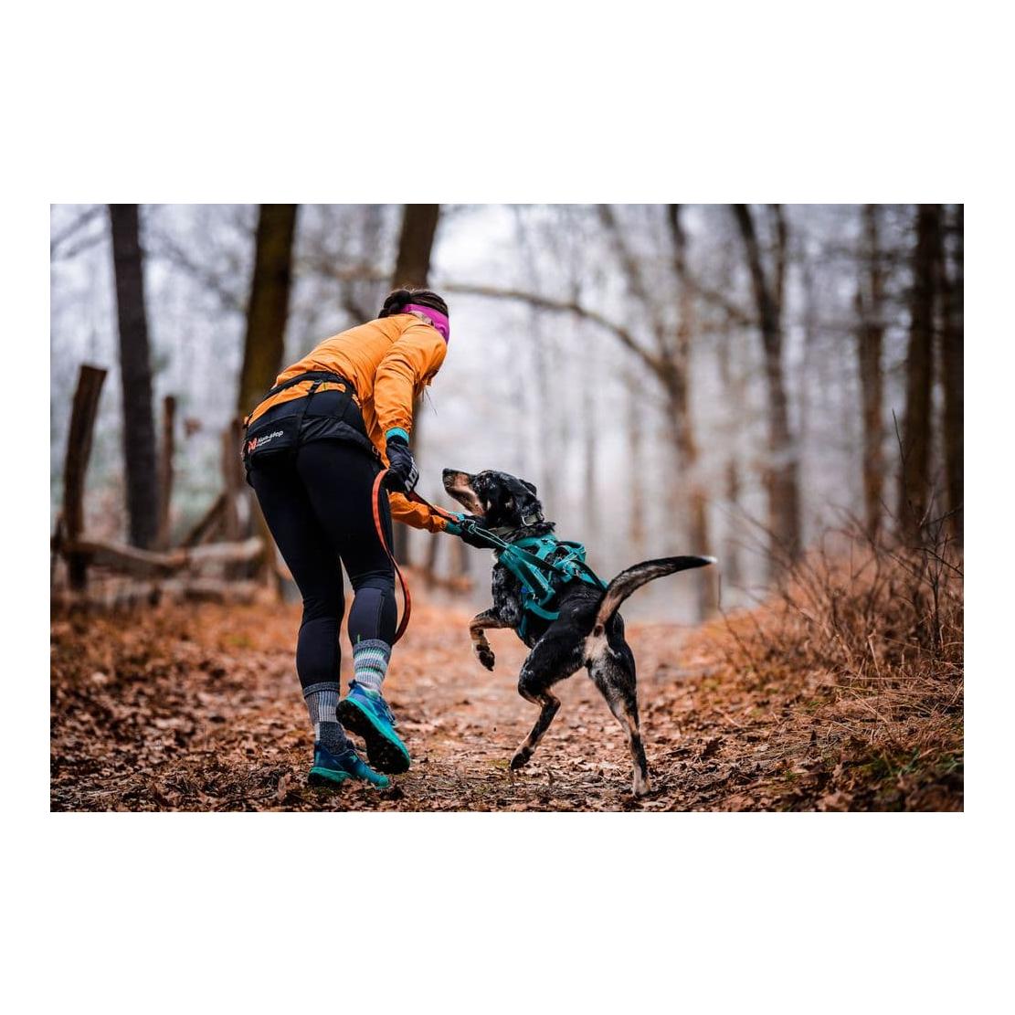 Laufgurt CaniX Belt 2.0