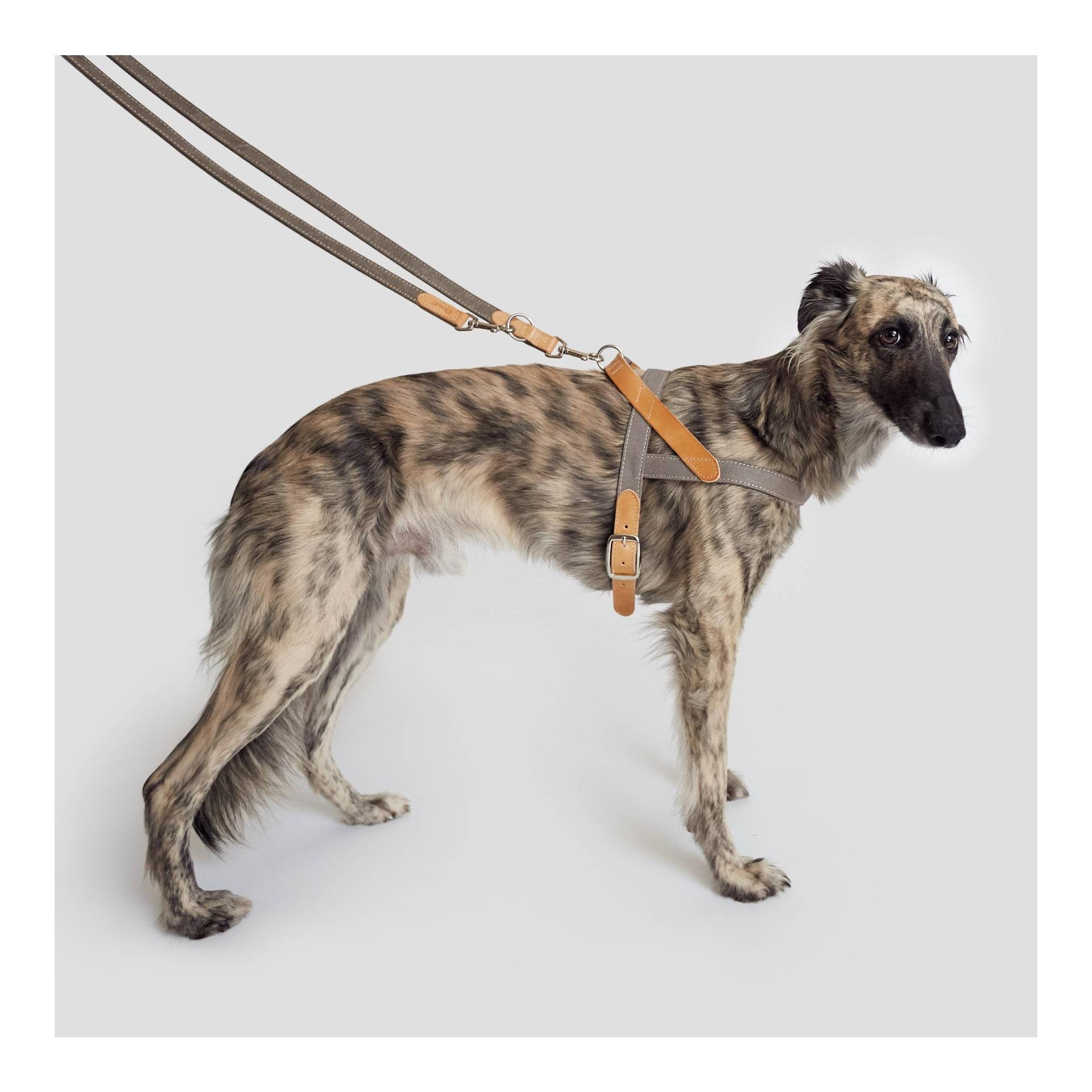 Hundegeschirr Tivoli - grau