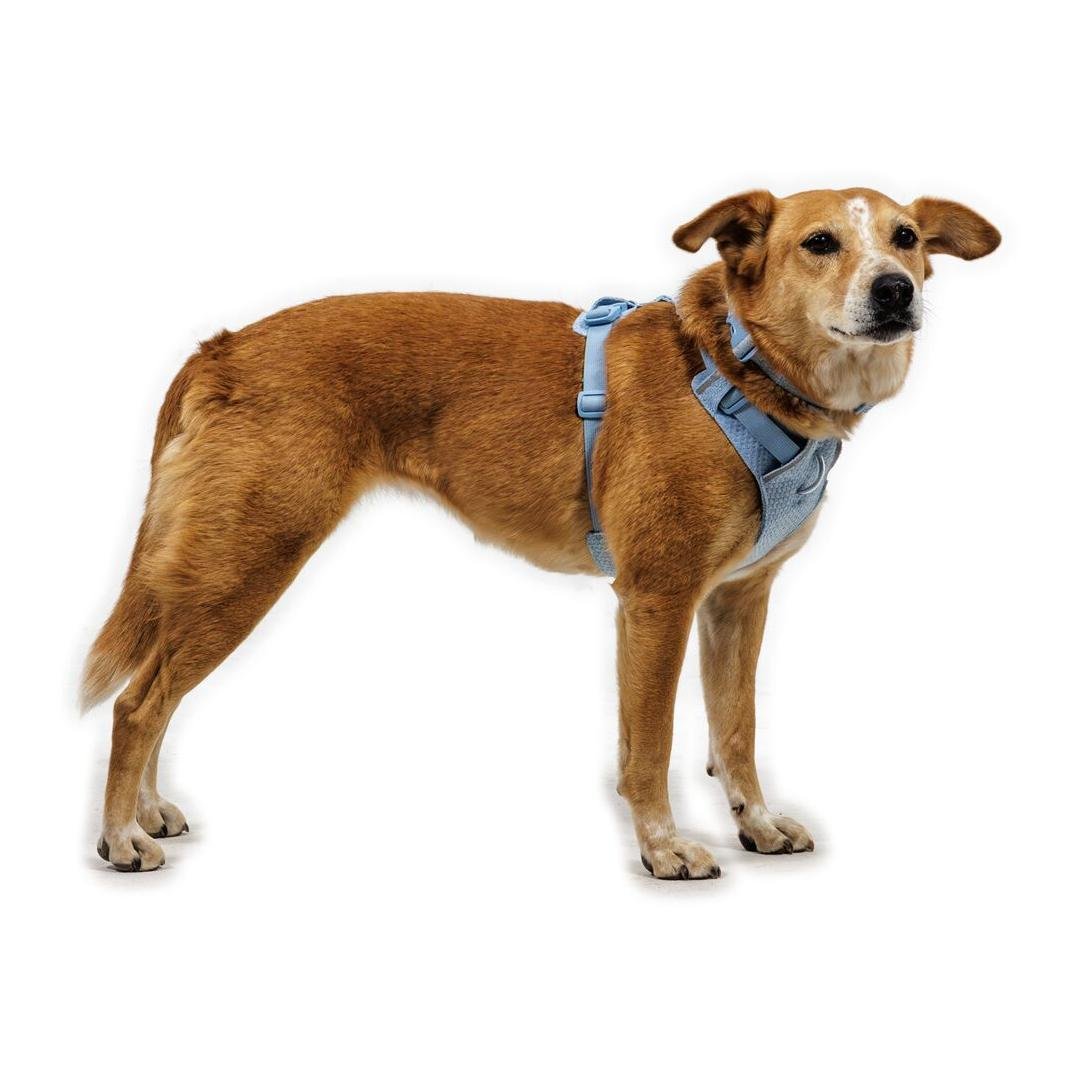 Ruffwear Front Range® Flex Hundegeschirr