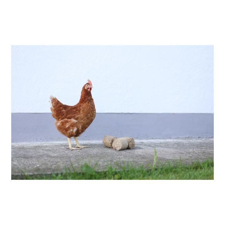 Briquettes de balles d'épeautre - Matériel d'occupation pour volailles