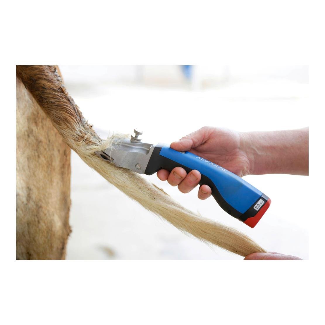 Akkuschermaschine Bonum Rind inkl. 1 Akku - blau