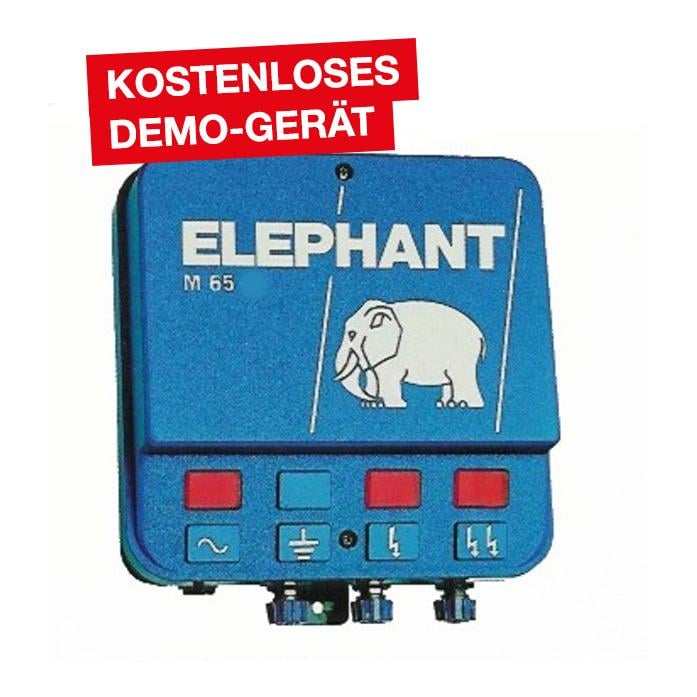 Elephant