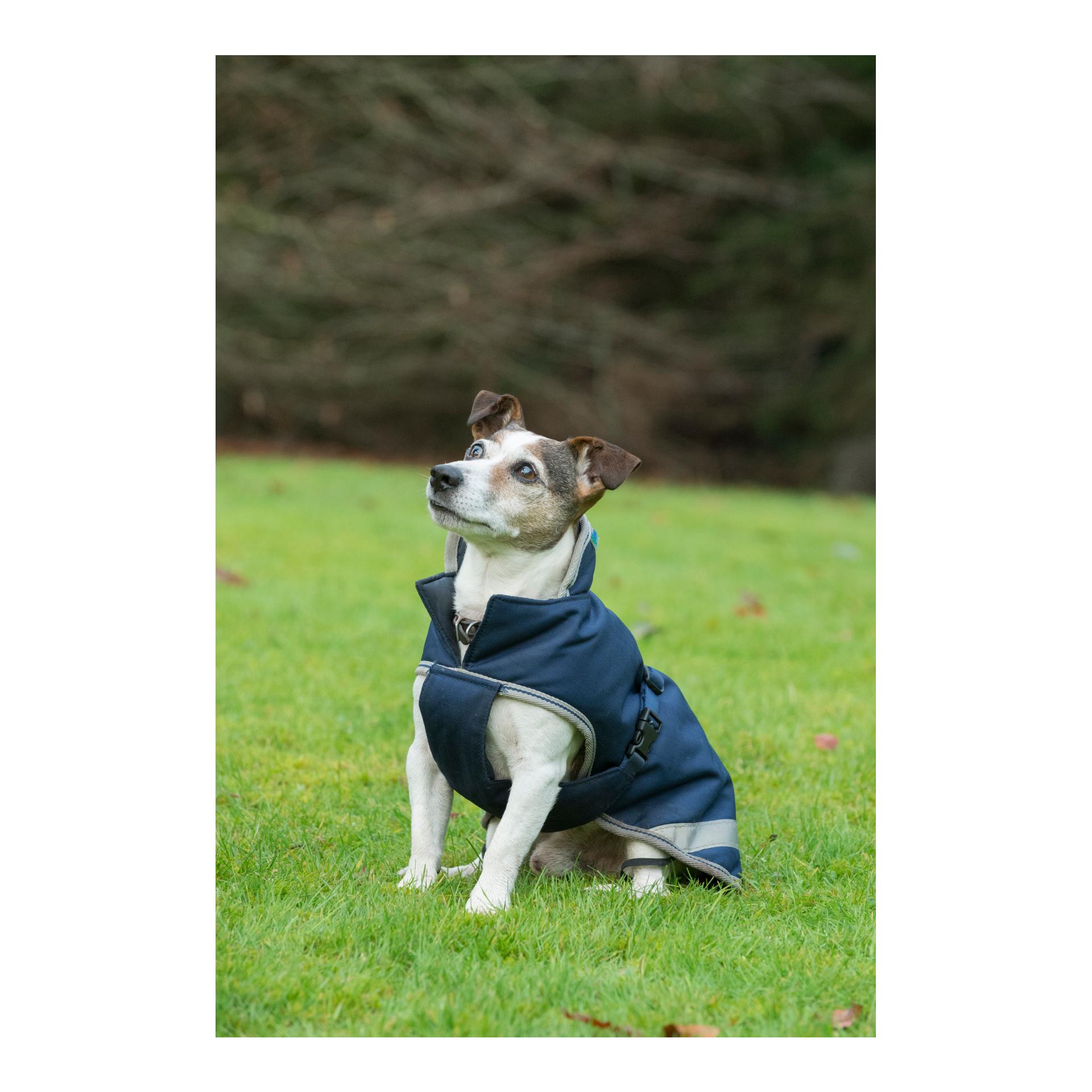 Bucas Dog Rug 300g - bleu marine/argenté