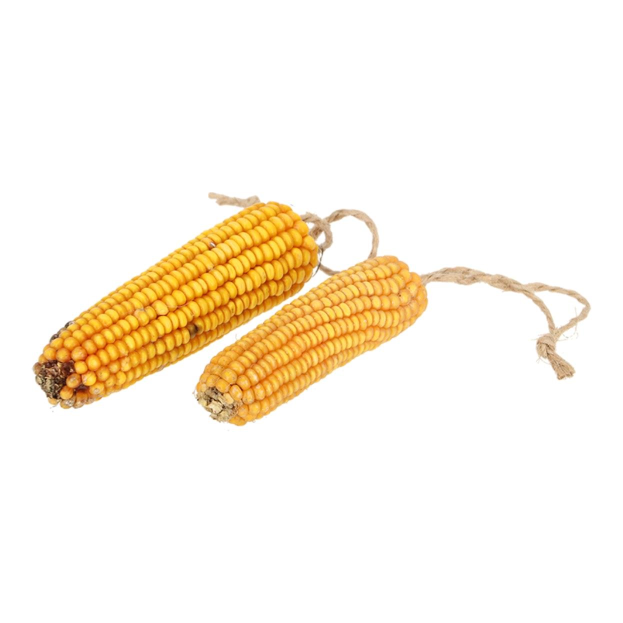 Getrocknete Maiskolben
