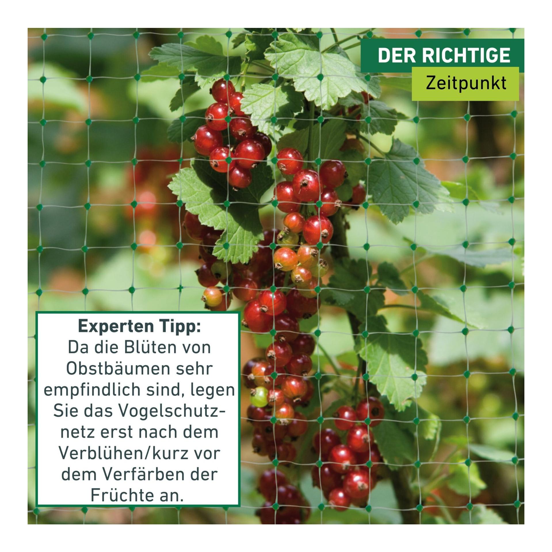 Windhager Vogelschutznetz "OrtoNet" - grün