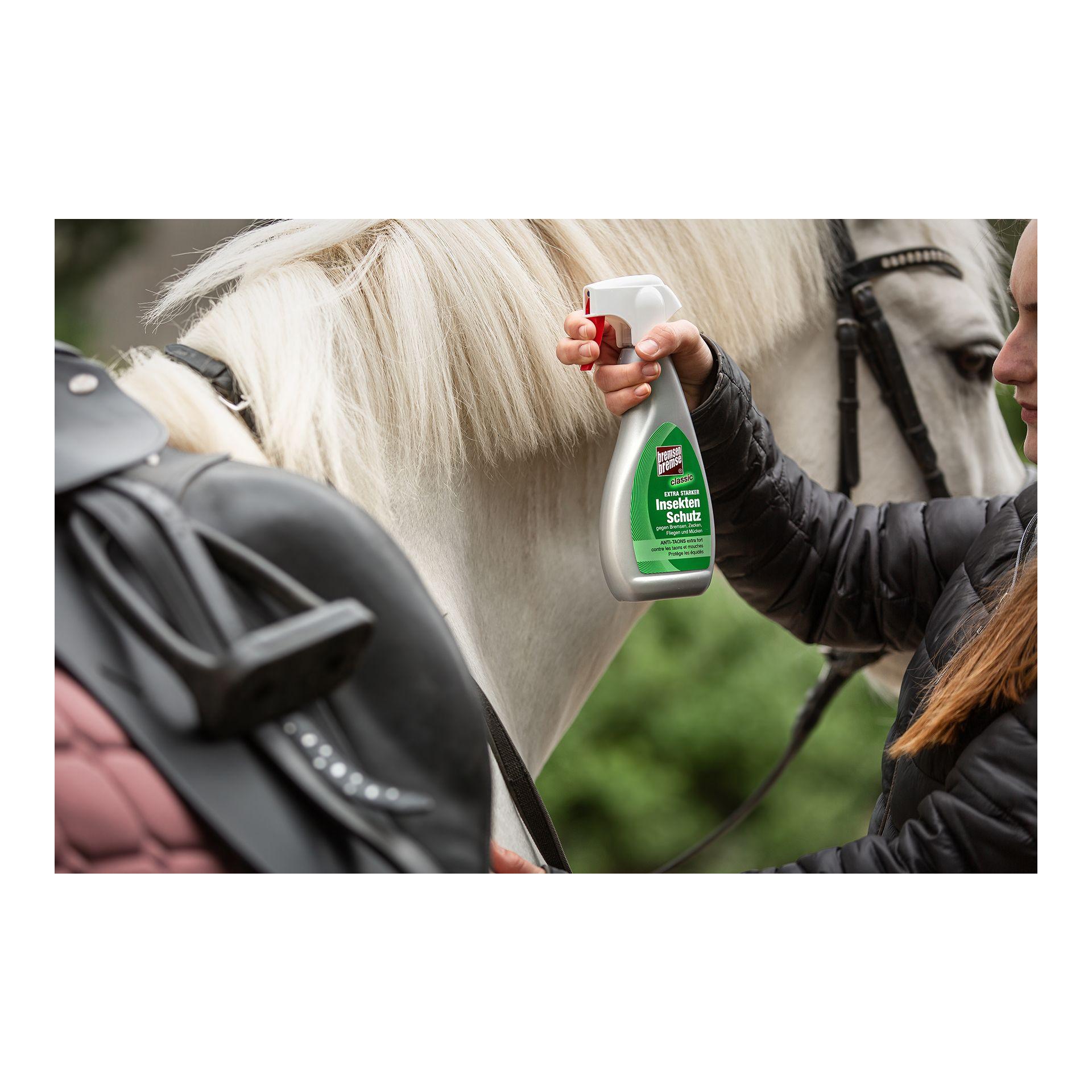 Bremsenbremse Classic