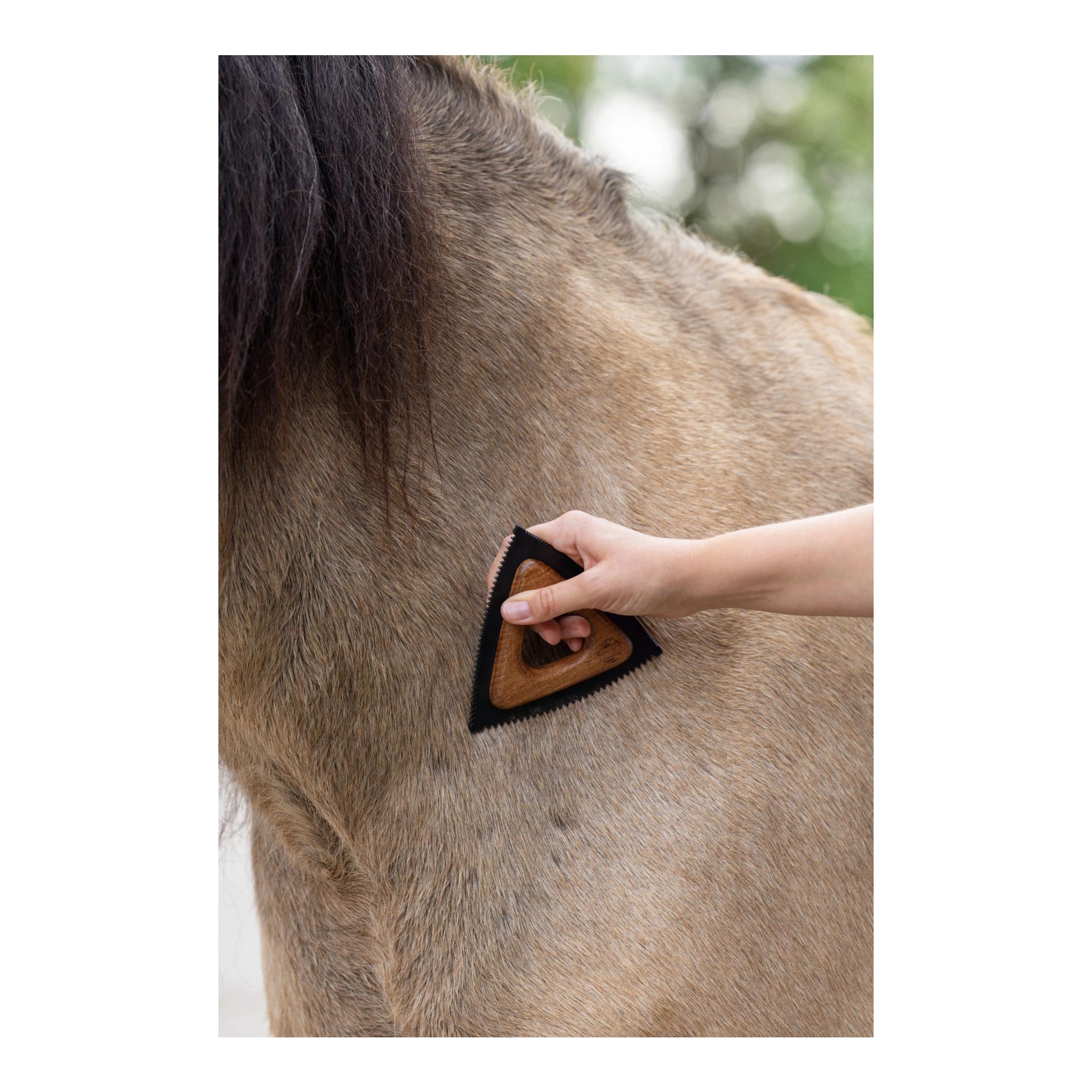 MagicBrush Magic Brush Triangle