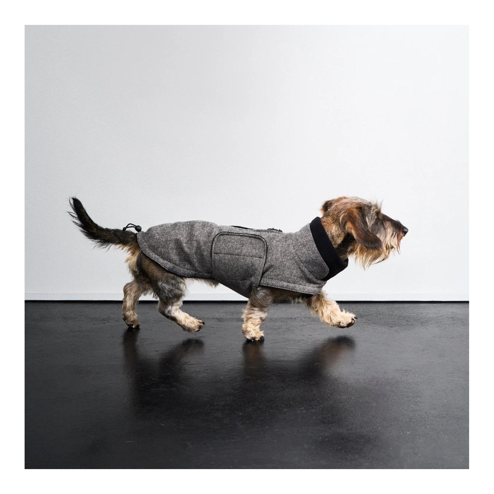 Winter Hundemantel Brooklyn Dackel