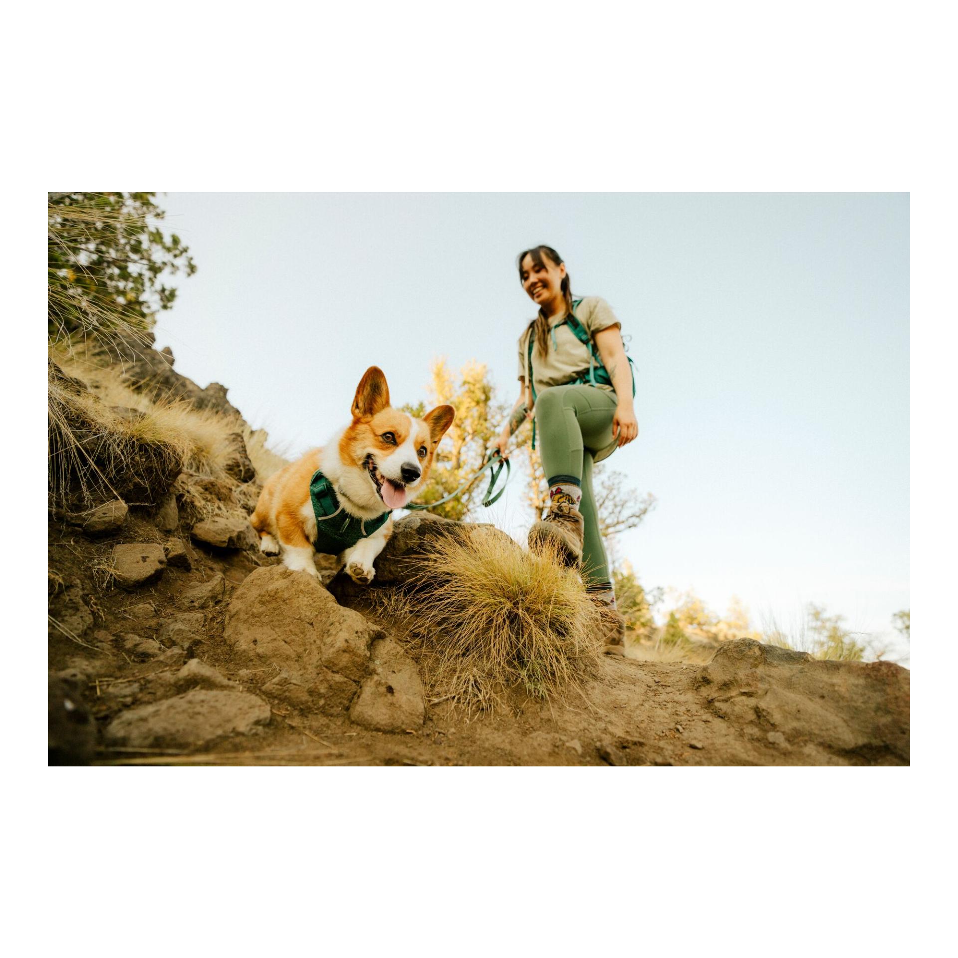 Ruffwear Front Range® Flex Hundegeschirr