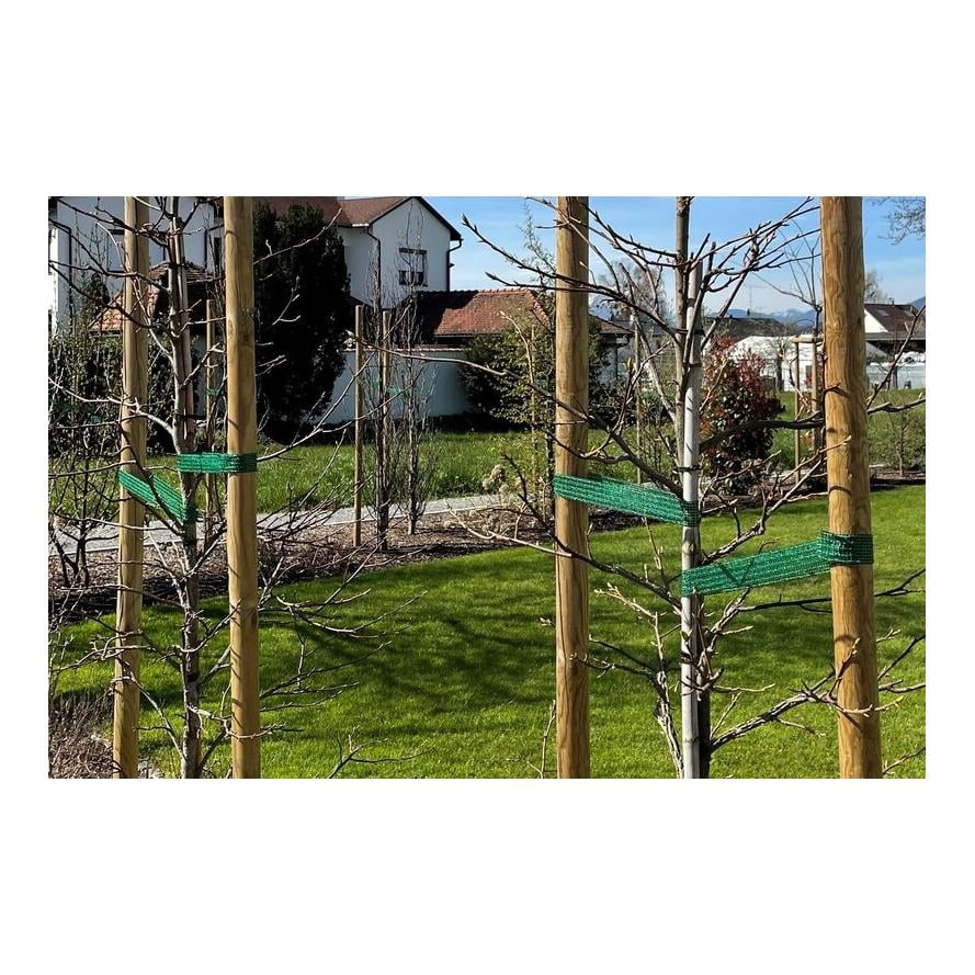 Hauptner Liens pour arbres