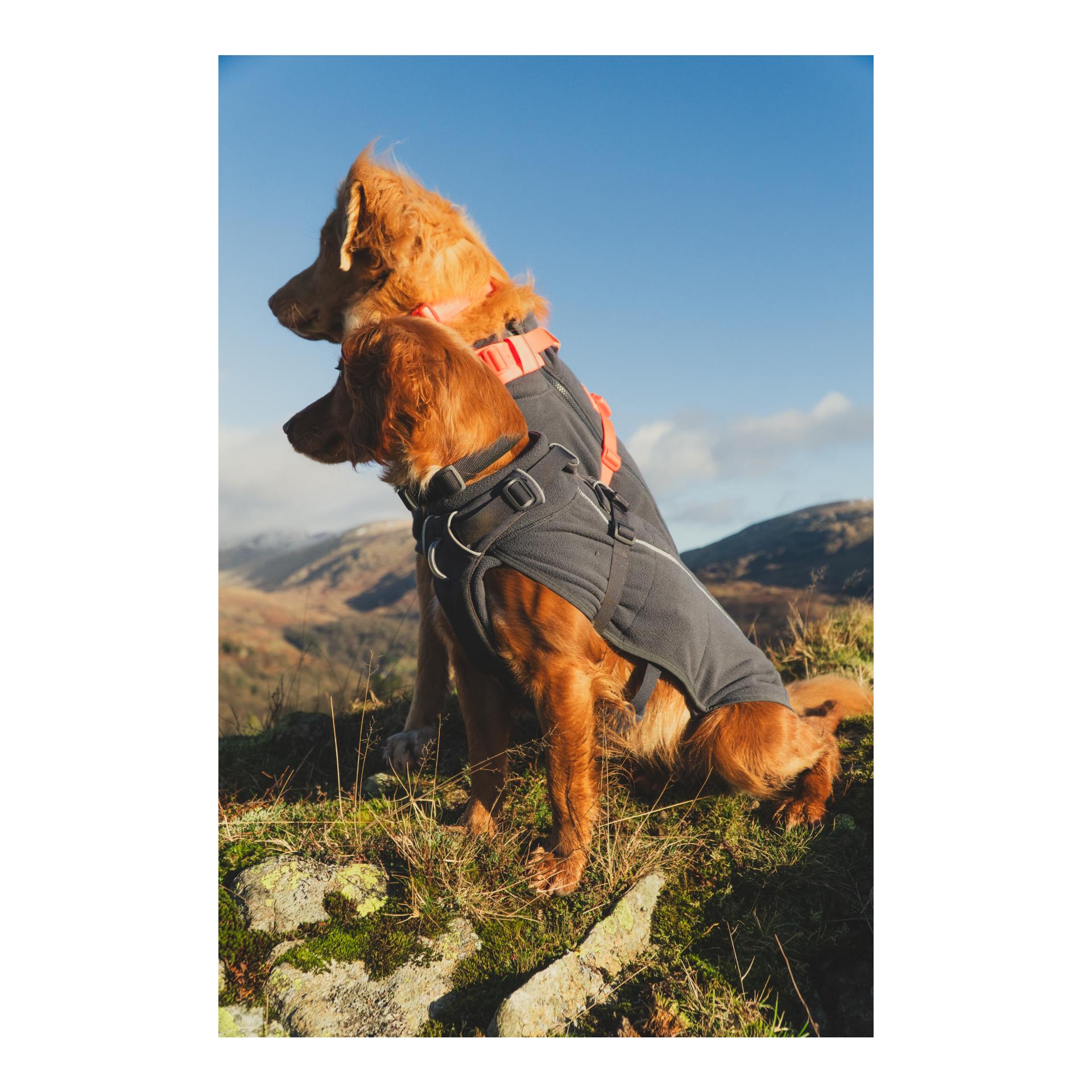 Climate Changer™ Fleece Vest