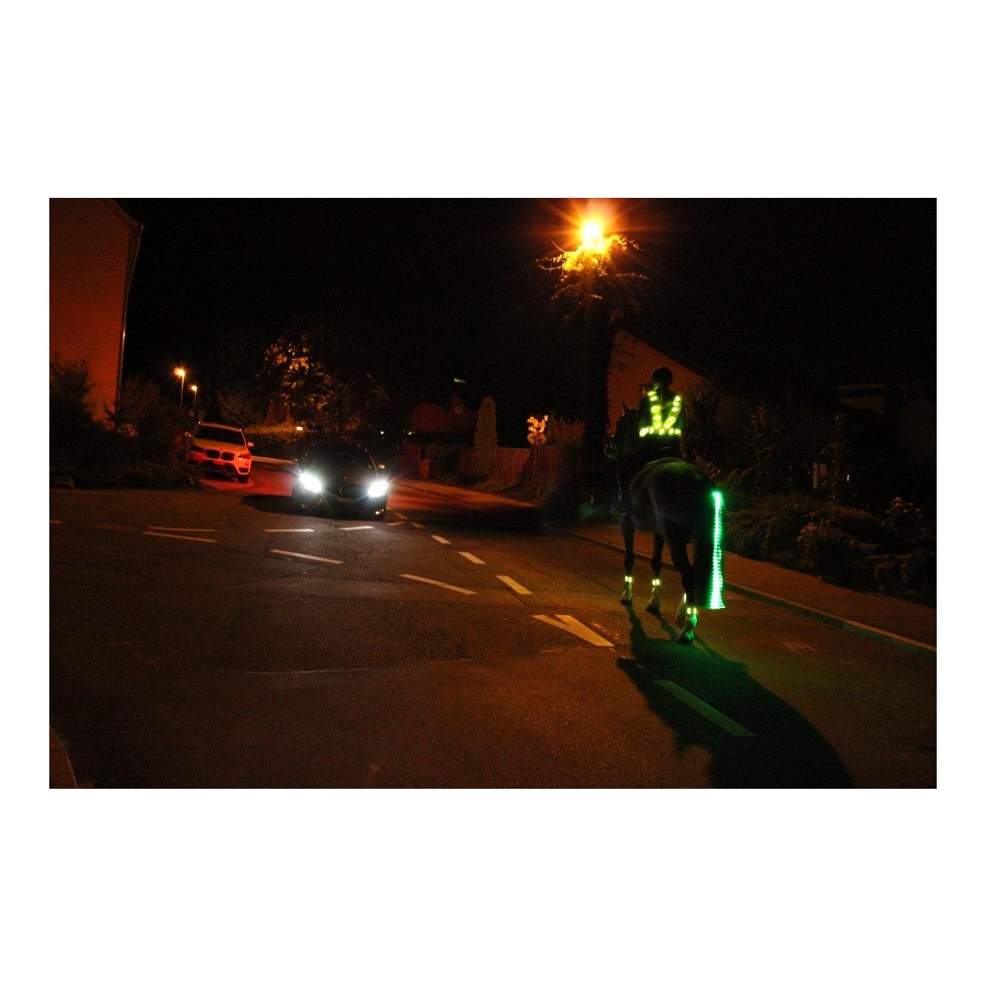 LED Schweifbeleuchtung Long 2.0 - grün